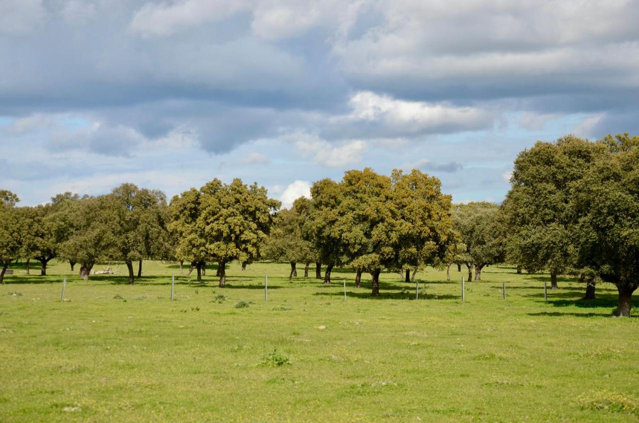 Peraleda de la MataCerro Cincho Ruralアパートメント エクステリア 写真